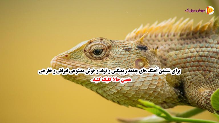 دانلود آهنگ چه در دل من چه در سر تو از محمد اصفهانی